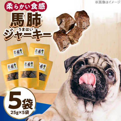 わんこのおやつ（犬）無添加手づくり 馬肺ジャーキー5袋 糸島市 / mogmog factory [AXO004] ペット おやつ