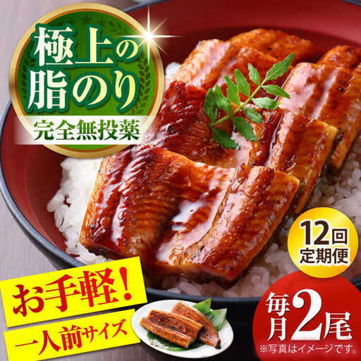 【12回定期便】高知県産 うなぎ蒲焼き 約90g×2尾 タレ付き 【株式会社 四国健商】[ATAF148]