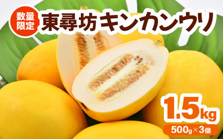 東尋坊キンカンウリ 1.5kg (500g × 3個入) まくわうり 瓜 [A-10242]