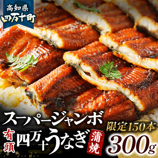 【限定150本】スーパージャンボ 四万十うなぎ（300g）／Esu-A206 うなぎ 国産鰻 土用の丑の日