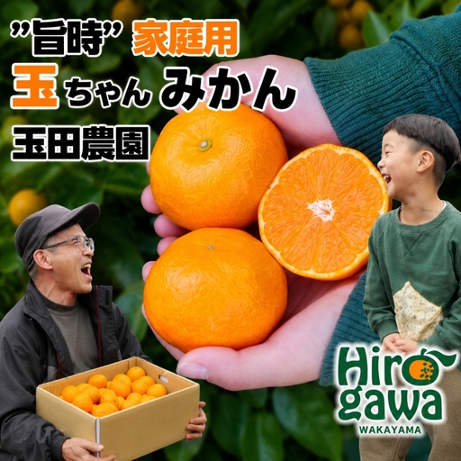 有田 みかん 旨時 体に優しい玉ちゃんみかん 5kg / 温州みかん 有田みかん 甘い 和歌山 柑橘 ※2026年12月初旬～2027年2月中旬に順次発送【tmd004-cu-5A】
