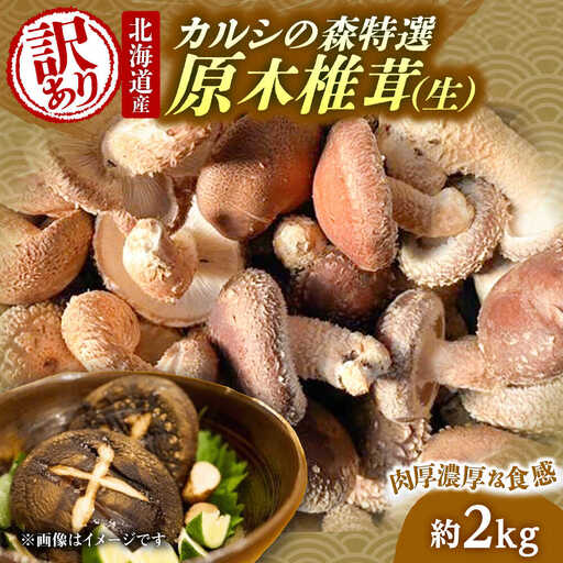 【訳あり】原木 生しいたけ 約2kg | 合同会社カルシ [BNAU006]