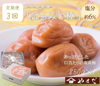 [定期便/3か月ごと/全3回]紀州南高梅はちみつ極塩分約6%(850g) | 梅干し 蜂蜜