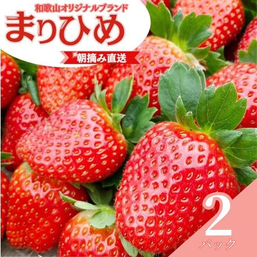 【先行予約】特大まりひめ いちご 朝摘 6個～11個入り×2パック  2027年1月中旬～2027年3月末頃に順次発送予定（お届け日指定不可）/ いちご 苺 まりひめ 和歌山 フルーツ  果物 くだもの【kiy003A】