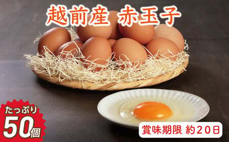 越前産 赤玉子 50個(45個+割れ補償5個入り) [冷蔵・卵]