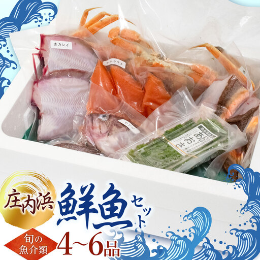 A51-252　 庄内浜鮮魚セット(下処理済み)４～６種類