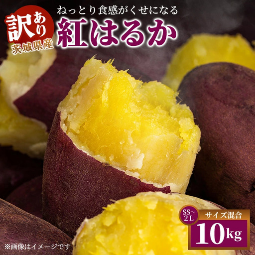 【訳あり】生芋10kg　SSサイズ～2Lサイズ（サイズバラ） ※離島への配送不可 ※2025年12月下旬頃より順次発送予定