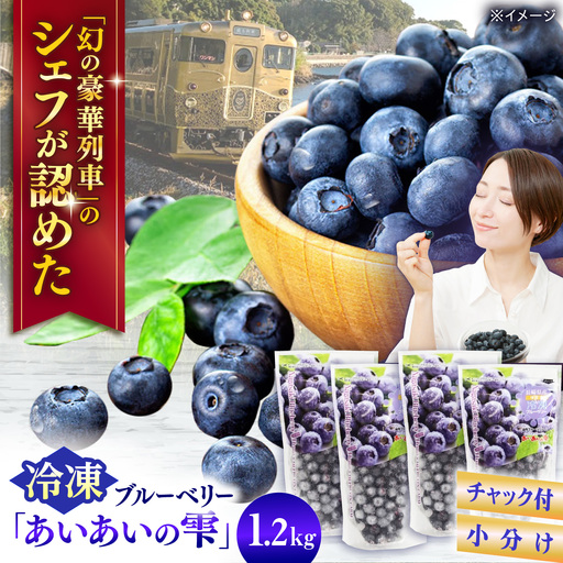 冷凍ブルーベリー 計1.2kg フルーツ ベリー 果物 小分け