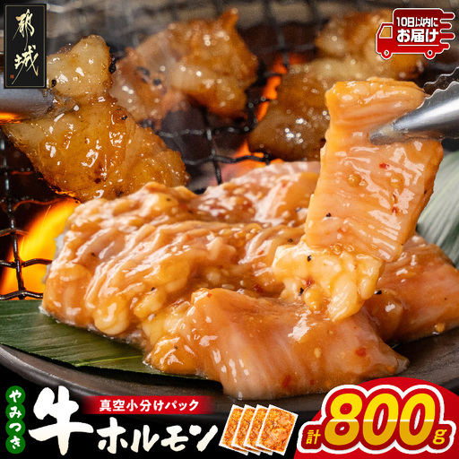 やみつき牛ホルモン800g!(真空小分け)≪みやこんじょ特急便≫〔LG8-3307-Q〕_(都城市) 牛ホルモン 味付き 200g×4P 800g 小分け 真空パック