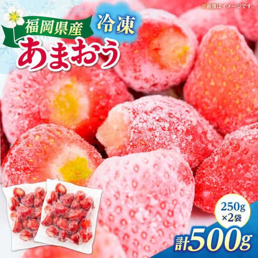 冷凍あまおう 500g（250g×2個）[ABEB025] いちご 果物 [ABEB025]