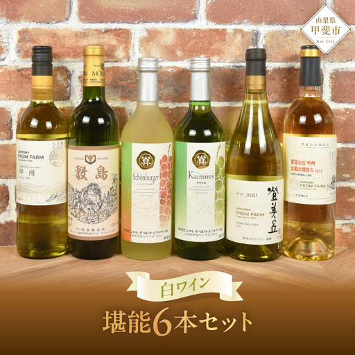 甲斐市産ワイン　白飲み比べ6本セット 山梨県 甲斐市 AD-256