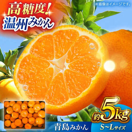 【先行予約】 温州みかん 『青島』 約5kg S~Lサイズ 【奥村果実園】[ZFK005]