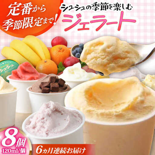 【6回定期便】シュシュ 季節のジェラート8個セット / アイス アイスクリーム ジェラート スイーツ /  大村市 / おおむら夢ファームシュシュ [ACAA418]