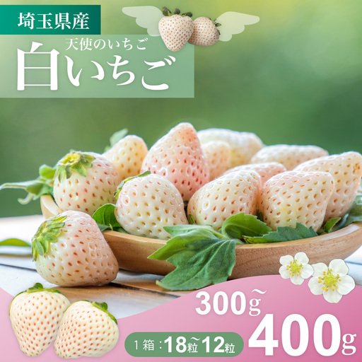 [発送1月〜]天使のいちご 300〜400g 白いちご [苺] イチゴ おおきい スイーツ 白い 果物 ふるさと納税 うまい フルーツ 期間限定 人気 まるい 甘い 旬 直送 おすすめ ストロベリー 苺ジャム 好きのため 