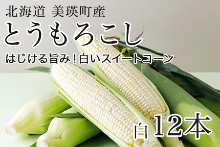とうもろこし 北海道 先行予約 スイートコーン 白 12本 とうもろこし