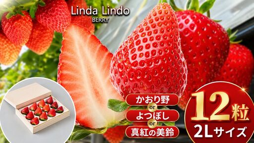 [先行予約]Linda Lindo BERRY 2Lサイズ 12粒 (2027年1月中旬ころより順次発送予定) | いちご かおり野 よつぼし 深紅の美鈴