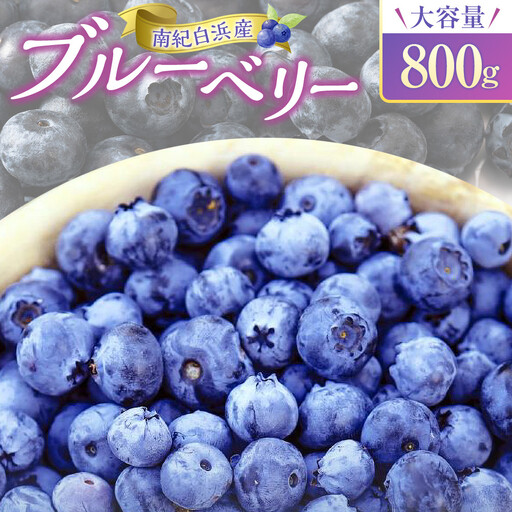 南紀白浜産ブルーベリー 約800g 大容量