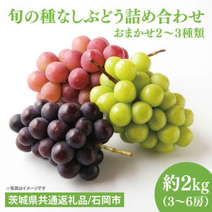 【2026年8月下旬～9月下旬発送】旬の種なしぶどう詰め合わせ　２kg（３～６房）【茨城県共通返礼品/石岡市】【ブドウ 巨峰 ビオーネ 伊豆錦 ゴルビー セット 安芸クイーン フルーツ 果物 くだもの 水戸市 水戸】（MF-2）