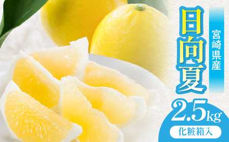 フルーツ 日向夏 フルーツ[《2027年発送先行予約》 2.5kg 宮崎県産]