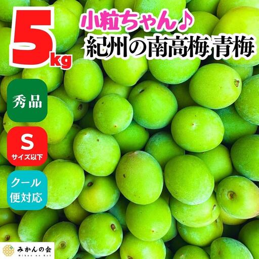 南高梅 青梅 秀品 小粒ちゃん 約5kg Sサイズ以下 和歌山県産 紀州有田 産地直送 クール便対応 梅酒作り用 梅ジュース作り用