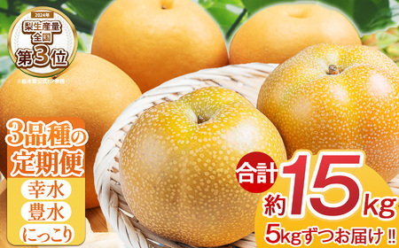 【2026年先行予約】 梨 食べ比べ 定期便 幸水 豊水 にっこり 各5kg【栃木県共通返礼品】P0 栃木県 下野市