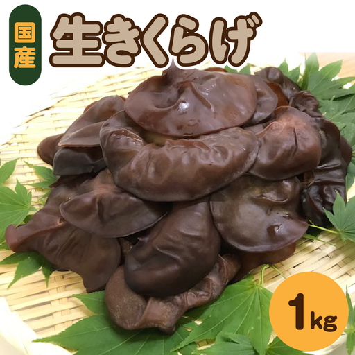 きくらげ 1kg  (500g×2袋) 国産生キクラゲ木耳青森県五所川原市