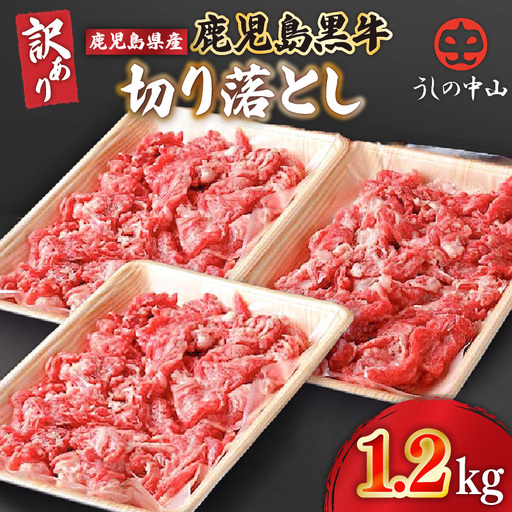 2872 【訳あり】うしの中山 黒毛和牛 切り落とし 1.2kg KN050-030 肉 牛 和牛
