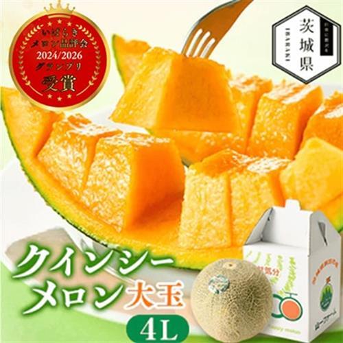 【先行受付】令和9年5月順次発送 茨城県鉾田市 山一ファーム クインシーメロン 大玉4L～5L・1玉_クインシー メロン 先行受付 鉾田市_【配送不可地域：離島・沖縄県】【1590730】