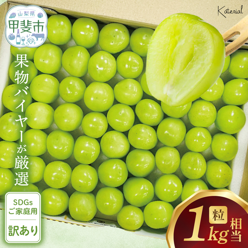 粒 シャインマスカット 約1.0kg 山梨シャインマスカット