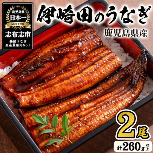 [数量限定]鹿児島県産 伊崎田のうなぎ蒲焼 [130g以上]× 2尾(計260g以上) 鰻 うなぎ ウナギ 蒲焼き 2尾 国産 九州産 鹿児島県産 冷凍 おつまみ 鰻重 うな丼