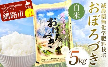 【令和7年度産 】【新米】減農薬9割減 ・ 化学肥料不使用おぼろづき 5kg 白米 北海道産 米 コメ こめ お米 白米 玄米 通常発送 F4F-9428