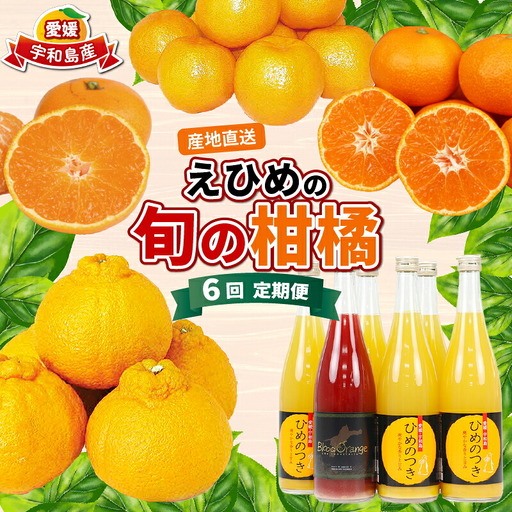 えひめの旬の柑橘 6回 みかん定期便 JA みかん定期便
