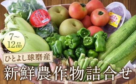 ひとよし球磨産 新鮮農作物詰合せ 【2026年12月上旬-下旬発送予定】 旬 生鮮品 野菜 農作物 お取り寄せ セット 産地直送