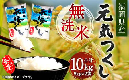 【令和7年産】福岡県産元気つくし 無洗米 10kg お米 ご飯 米