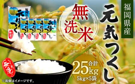 【令和7年産】福岡県産 元気つくし 無洗米 25kg お米 ご飯 米