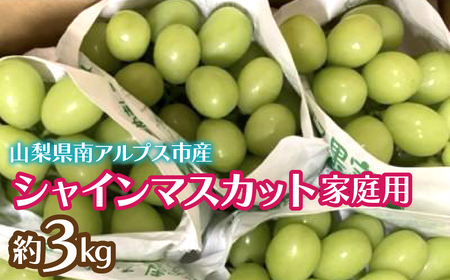 ＜2026年発送先行予約＞シャインマスカット (新鮮直送・家庭用3kg) ALPCZ015