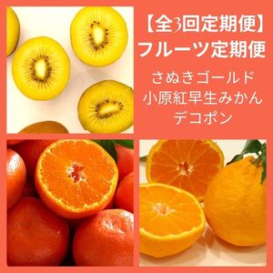 [全3回フルーツ定期便]さぬき讃フルーツさぬきゴールドと小原紅早生みかんと不知火[D-14]