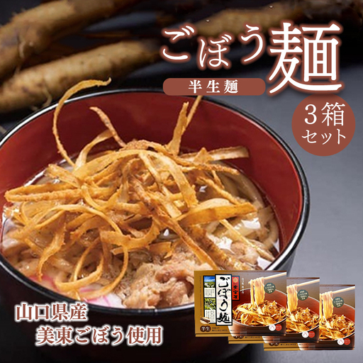 【安富屋】ごぼう麺３箱セット(４食入り×３箱）【山口県産美東ごぼう使用】