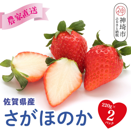 [先行受付 R9年1月より発送 農家直送]さがほのか220g×2パック(H117101)