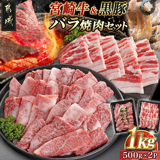 宮崎牛&黒豚バラ焼肉セット(合計1kg)〔18-N402〕_(都城市) 宮崎県産宮崎牛 都城産黒豚  バラ焼肉用 各500g×1P セット 焼肉用カット 焼肉 BBQ 冷凍