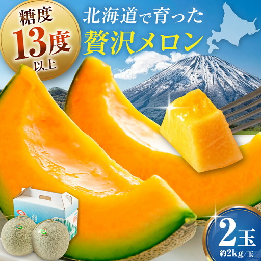 【先行予約】赤肉メロン2玉 [AJAK024] メロン 夏