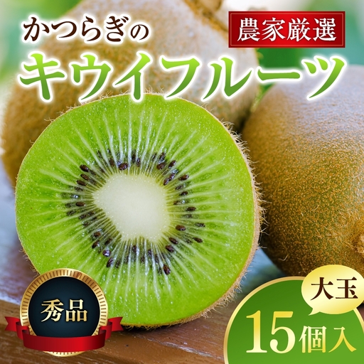 キウイ 和歌山県産 秀品 キウイフルーツ 大玉15個入 こだわり農家厳選 先行予約 [2026年12月中旬〜2027年1月中旬頃に順次発送予定[KG28][BK028-kgr021]