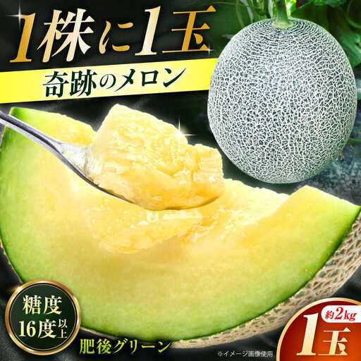 先行予約 肥後グリーンメロン約2kg(1玉)