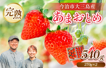 井上苺園　あまおとめ（270g×2パック）【V002540】
