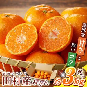 【2026年11月下旬頃より発送】高級ブランド 秀品 紀州有田田村産みかん 3kg 濃厚 糖度 酸味 バランス 甘さ コク 国産 みかん 有田みかん フルーツ 果物 果実 デザート おやつ お取り寄せ お取り寄せフルーツ 和歌山県 湯浅町 送料無料_G7339