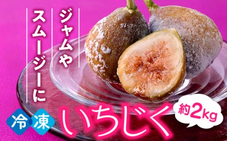 A1559.冷凍いちじく約2キロ[とよみつひめ]