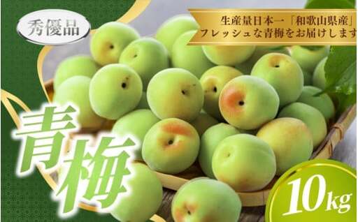 【先行予約】 青梅 10kg ※秀優品 ※サイズ混合 【2027年6月上旬～6月下旬頃に順次発送予定】＜味好農園＞/ 梅 青梅 梅干 梅干し 梅酒 お酒 シロップ ジュース【agy508-r-10】