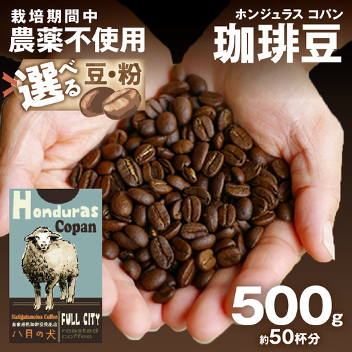 【コーヒー豆】 ホンジュラスコパン 500g コーヒー豆