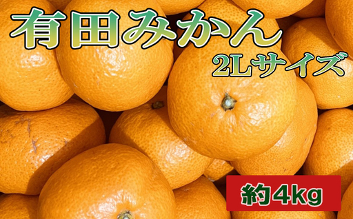 秀品 和歌山 有田みかん 約4kg 2Lサイズ【tec915B】