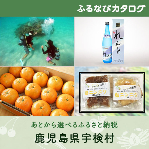 [有効期限なし!後からゆっくり特産品を選べる]鹿児島県宇検村カタログポイント